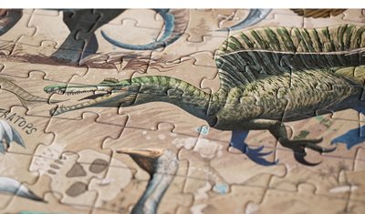 dinos-explorer-puzzle (4)