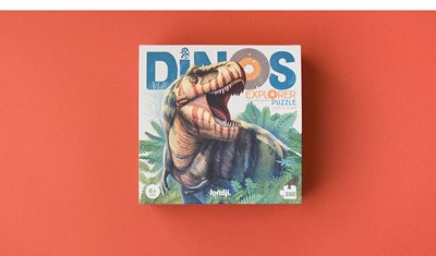 dinos-explorer-puzzle (10)